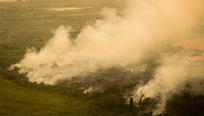 Com incêndios, Mato Grosso do Sul decreta situação de emergência 